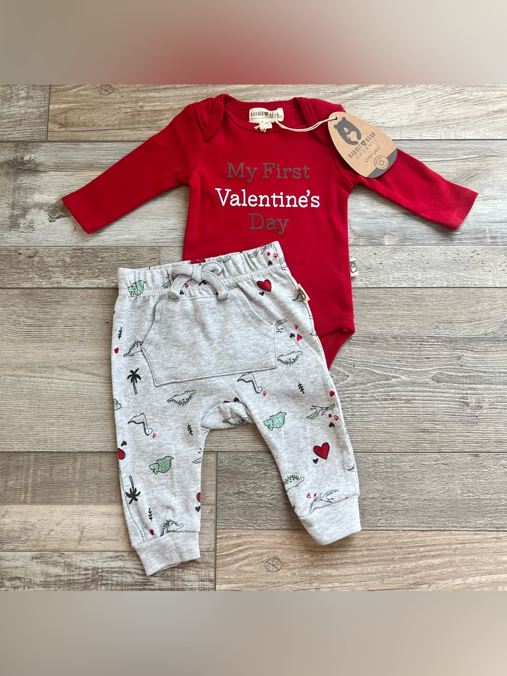 NWT Rabbit + Bear My First Valentine Dinosaur Outfit Size 0/3  Months